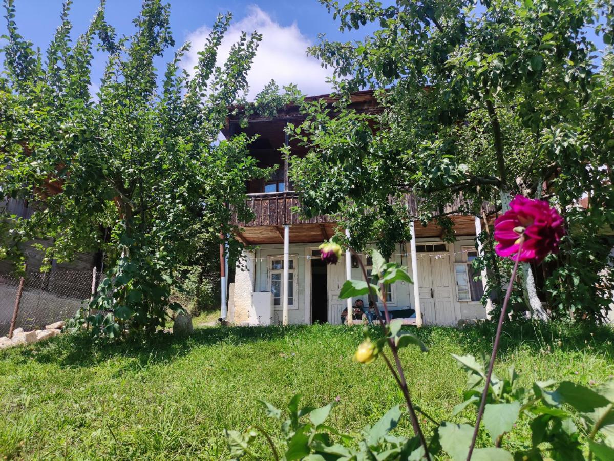 Racha Chogovadze'S Guest House Ambrolauri Eksteriør bilde